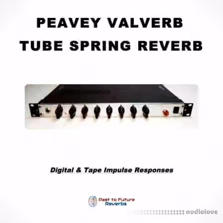 PastToFutureReverbs Peavey Valverb! (Rare Tube Spring Reverb)