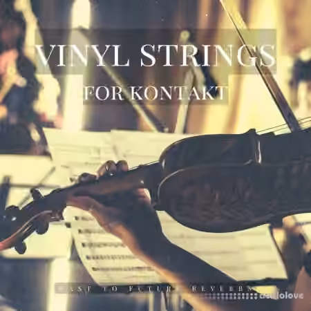 PastToFutureReverbs Vinyl Strings [KONTAKT]
