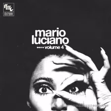 Polyphonic Music Library Mario Luciano Vol.4 (Compositions and Stems) [WAV]