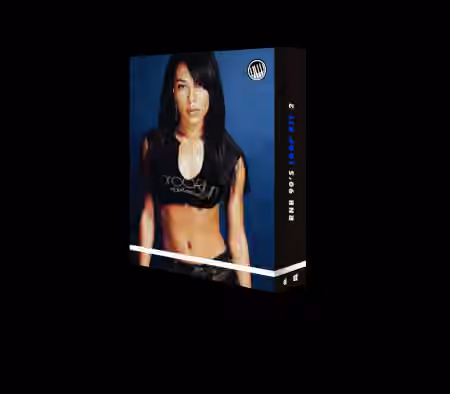 Producer Kit RnB 90's Loop Kit 2 [WAV]