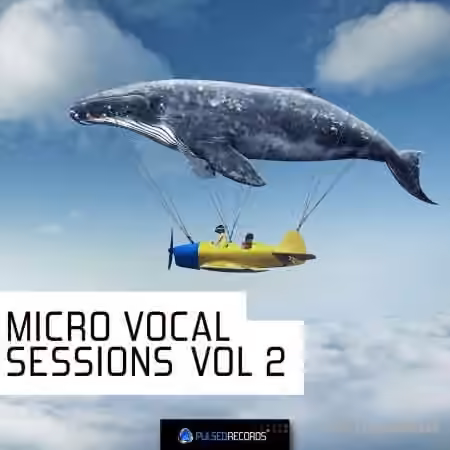 Pulsed Records Micro Vocal Sessions Vol.2 [WAV, MiDi]