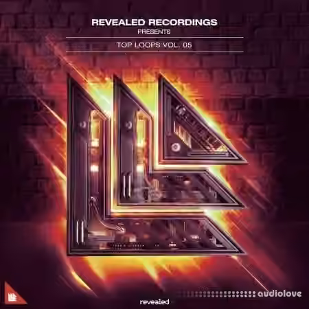 Revealed Recordings Revealed Top Loops Vol.5 [WAV]