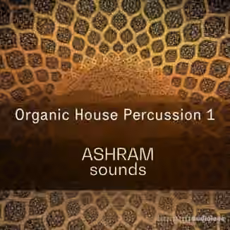 Riemann Kollektion ASHRAM Organic House Percussion 1 [WAV]
