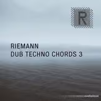 Riemann Kollektion Riemann Dub Techno Chords 3 [WAV]