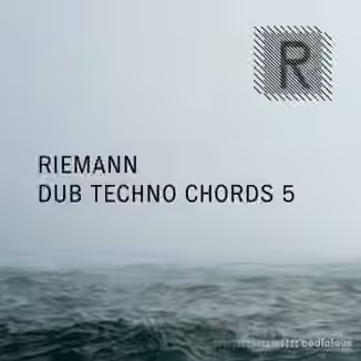 Riemann Kollektion Riemann Dub Techno Chords 5 [WAV]