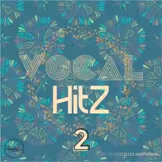 Roundel Sounds Vocal Hits Vol.2 [WAV, MiDi]