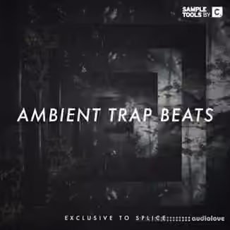 Sample Tools by Cr2 Ambient Trap Beats [WAV]