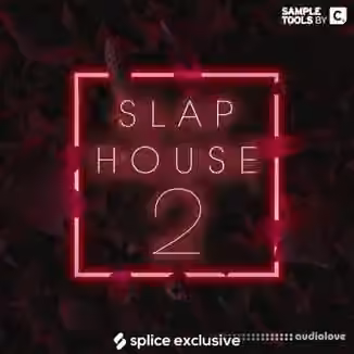 Sample Tools by Cr2 Slap House 2 [WAV]