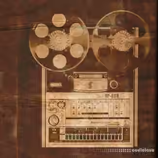 Samplephonics 808 [MULTiFORMAT]
