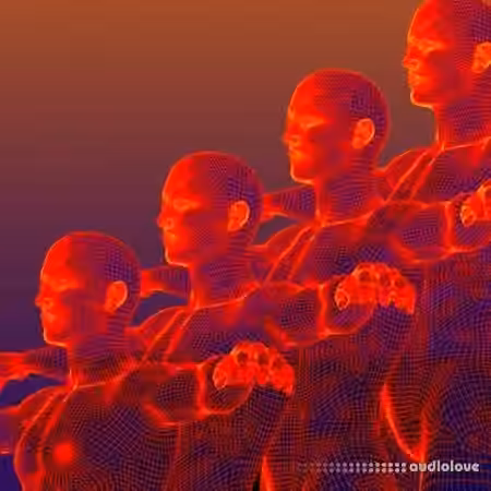 Samplephonics Kinetic Sequences [MULTiFORMAT]