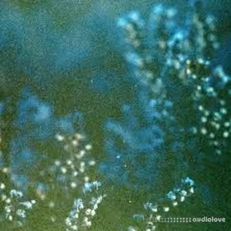 shameless. Distorted Ambience Sample Pack Vol.4 [WAV, Synth Presets]