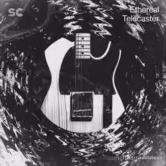 Sonic Collective Ethereal Telecaster [WAV]