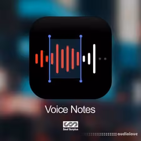 Soul Surplus Voice Notes [WAV]