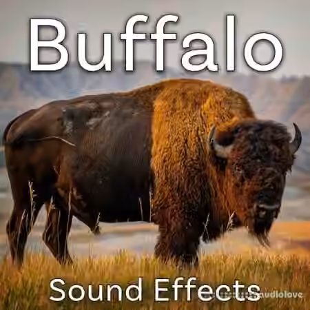Sound Ideas Buffalo Sound Effects [FLAC]
