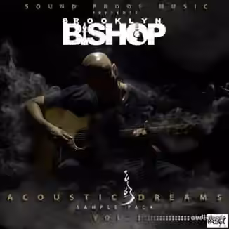 Sound Proof Music Acoustic Dreams Vol.1 [WAV]