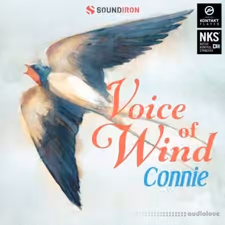 Soundiron Voice of Wind: Connie v1.0 [KONTAKT]