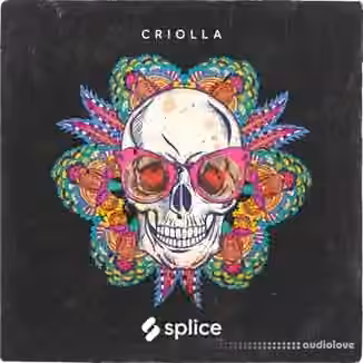 Splice Originals Criolla Latin Percussion [WAV]