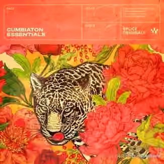 Splice Originals Cumbiaton Essentials [WAV]