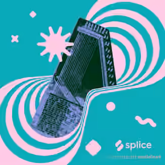 Splice Originals Laraaji Reimagined Photay [WAV]
