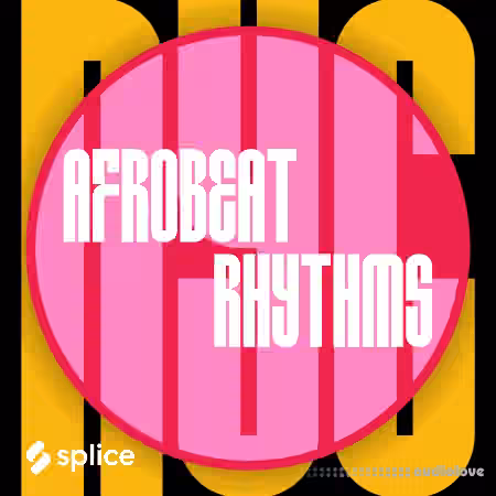 Splice Originals NYC Afrobeat Rhythms [WAV]