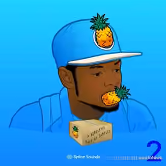 Splice Sounds A ROMderful Pack of Samples 2 [WAV]