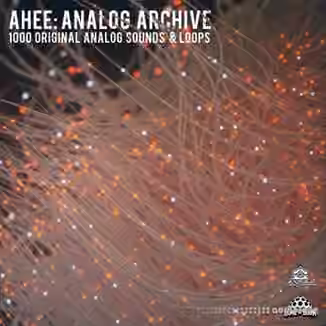 Splice Sounds Ahee Analog Archive [WAV]