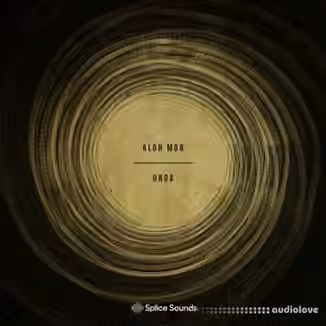 Splice Sounds Alon Mor UROA Sample Pack [WAV]