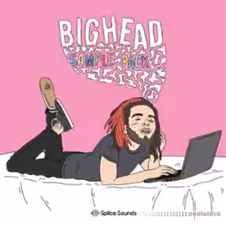Splice Sounds Bighead Sample Pack [WAV]