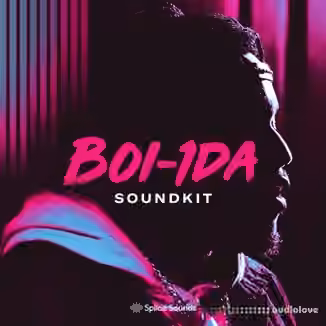 Splice Sounds Boi-1da Soundkit Bare Sounds for Your Headtop [WAV]