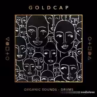 Splice Sounds Goldcap Organic Sounds Drums and Percussion [WAV]