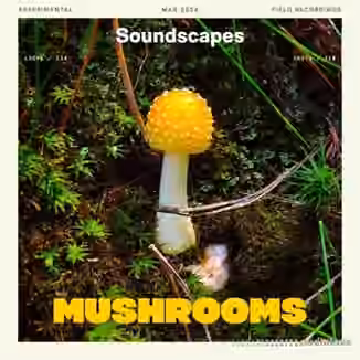 Splice Soundscapes Mushrooms [WAV]