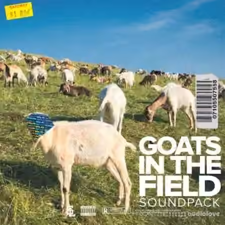 Stve Lawrence Goats In The Field [WAV]