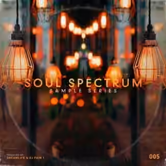 The Sample Lab Soul Spectrum Vol.5 (Compositions And Stems) [WAV]