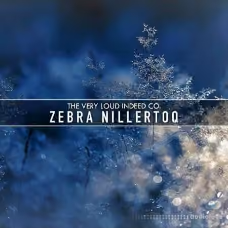 The Very Loud Indeed Co. Zebra Nillertoq [Synth Presets]
