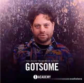 Toolroom GotSome Trademark Series [WAV]