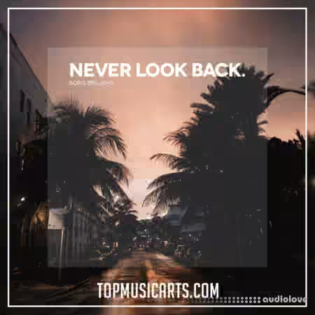 Top Music Arts Boris Brejcha Never Look Back Ableton Remake (Progressive House Template) [DAW Templates]