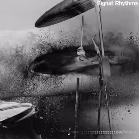 Touch Loops Signal Rhythms [WAV]