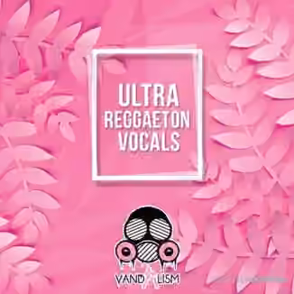 Vandalism Ultra Reggaeton Vocals [WAV]