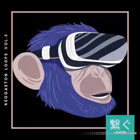 Veguzzi On The Beat Reggaeton Loops Vol. 3 [WAV]