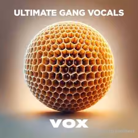 VOX Ultimate Gang Vocals [WAV]