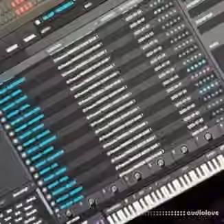 Warren Hunter Serum Bank 1 Serum 2 Presets [Synth Presets]