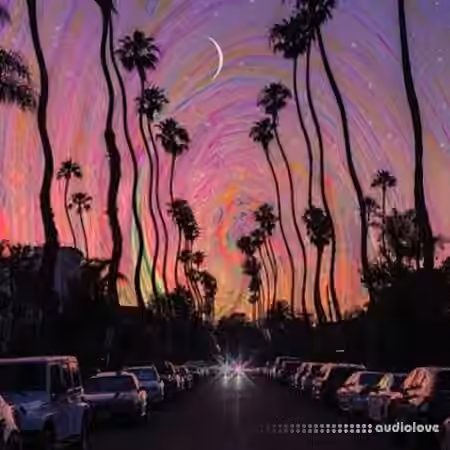 WavSupply nico baran Paris Vol.2 (Loop Kit) [WAV]