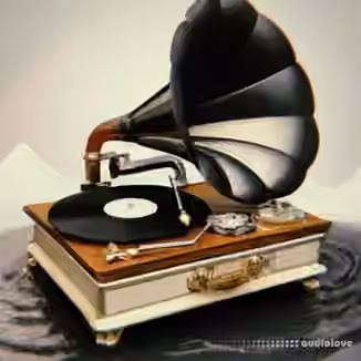 WeTheSound Vintage Overflow [WAV]