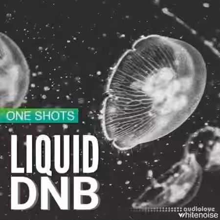 Whitenoise Records Liquid Drum & Bass ONESHOTS [WAV]